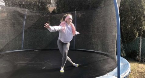 Bird Box, Cinematic Masterpiece or Alligator Poop?