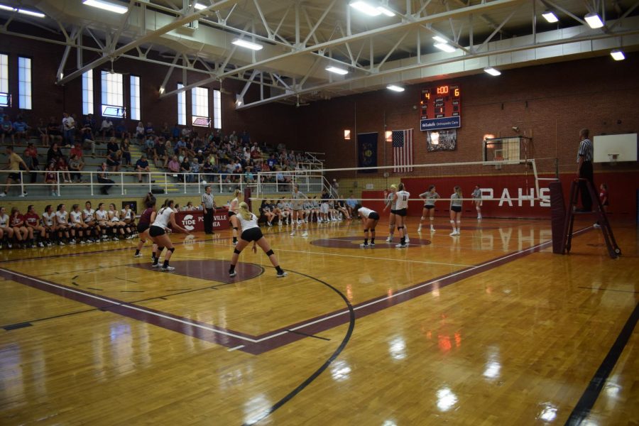 The+Pottsville+Area+Crismon+Tide+team+is+preparing+to+hit+the+ball.+They+ended+up+losing+the+game+to+the+Blue+Mountain+Eagles+with+a+score+of+3-1.+Teammate+Caroline+Gist+said%2C+%22We+have+so+much+love+and+dedication+towards+the+game%2C+and+no+matter+our+outcomes%2C+we+are+always+proud+of+each+other.%22+
