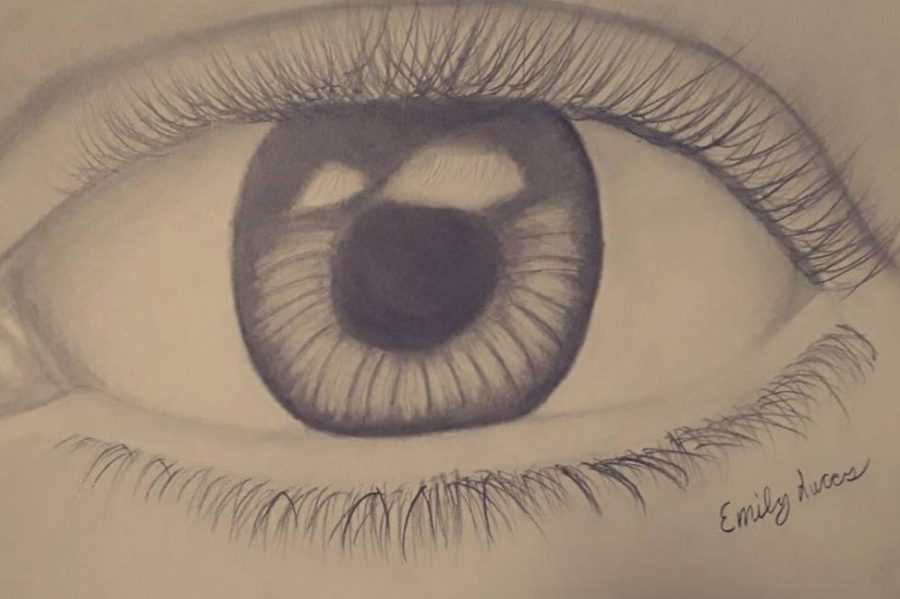 Freshman+Emily+Lucas+drew+this+eye+because+she+was+interested+in+the+drawing+in+the+realist+ic+style.+%22I+wanted+to+learn+how+to+do+this%2C%22+Lucas+said.+