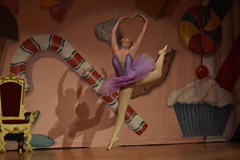 Students take part in annual dance performance (photo)