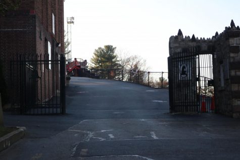 Mini Thon hosts a walk and run for a cure