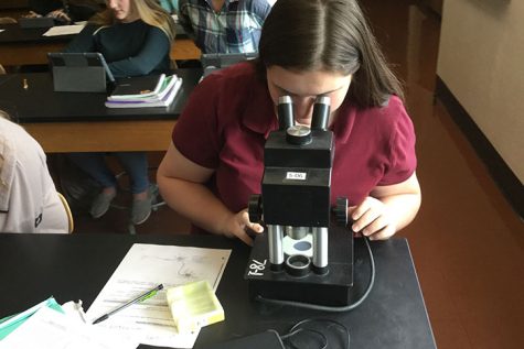 Junior Victoria Oswald chosen to attend PGSS
