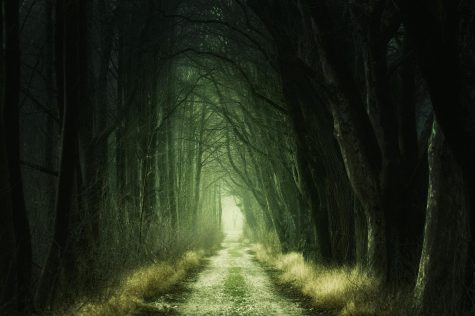 Howling Fear