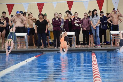Tohill named Girls’ Swimmer of the Year
