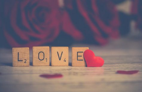 Every Sonnet Has Its Own Story
